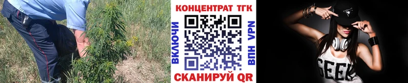 MEGA вход  цена наркотик  нарко площадка Telegram  ТГК вейп  Эртиль 