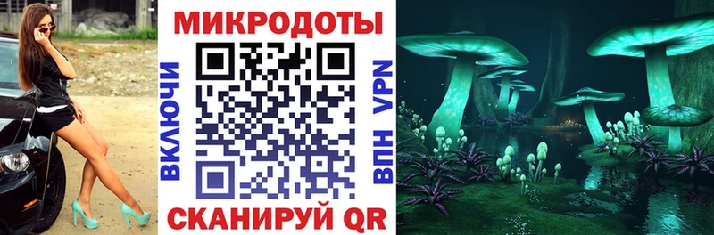 сколько стоит  Эртиль  Галлюциногенные грибы Magic Shrooms 